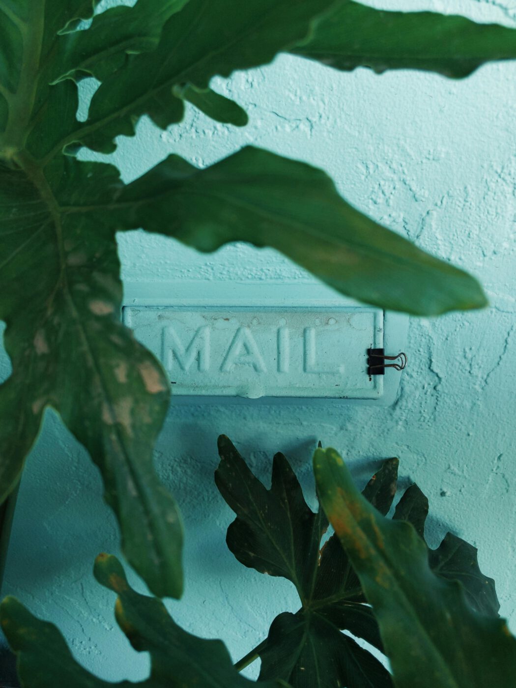 Contact